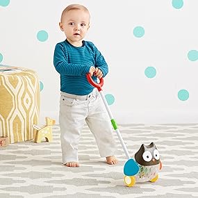skip hop owl push toy