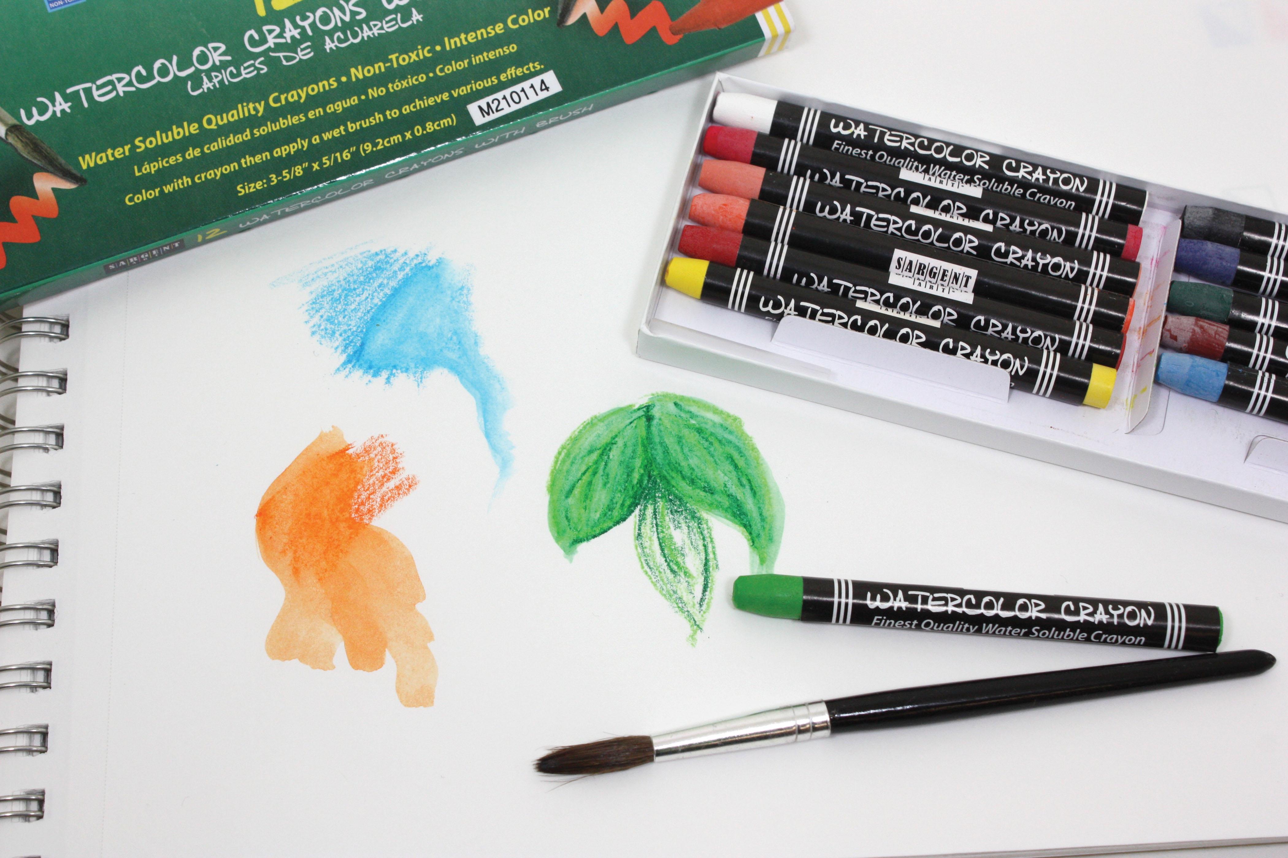 Sargent Art 221112 12Count Water ColorCrayons with Brush