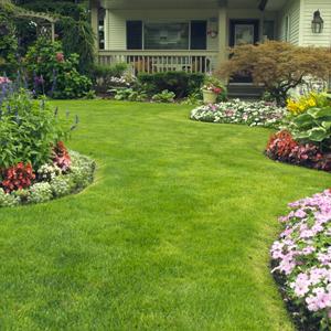 Small manufacture image 6