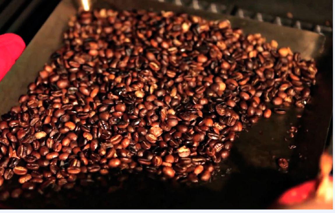 Little Griddle GQ230 Professional Series Griddle Grill