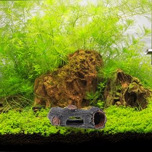 SheltaCrafta シェルター 素焼き 手作り 水槽 隠れ家 テラリウム② SheltaCrafta シェルター 素焼き 手作り 水槽 隠れ家 テラリウム