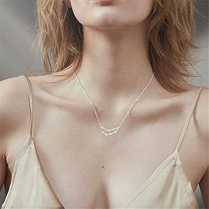 Silver Zodiac Necklace