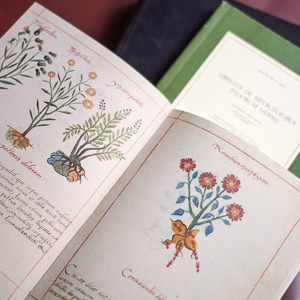 Small manufacture image 8