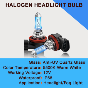 DZG H11 HALOGEN FOG LIGHT BULBS