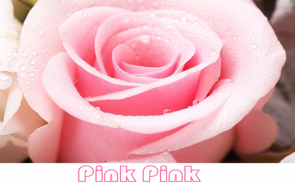 誕生日ギフト 女性