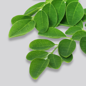 Moringa