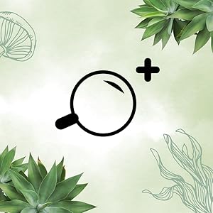 Canela de Ceylán Vegavero® | 2000 mg | Control de Glucosa | 120 Cápsulas 11 t