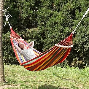 Stable Double Swing