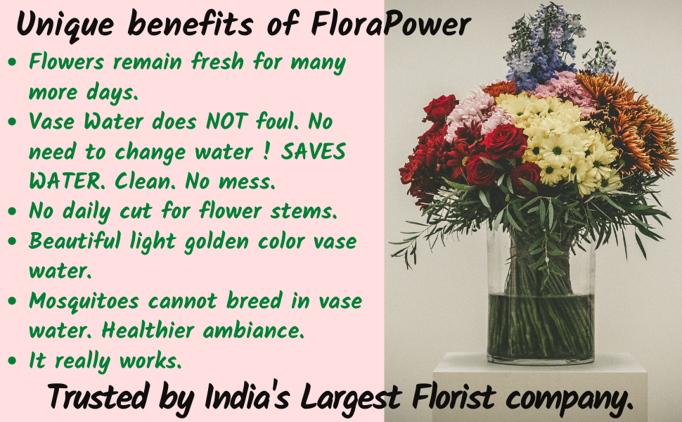 FloraPower Food of Flowers, Flower Food (Sachets, 10 Pieces) Amazon