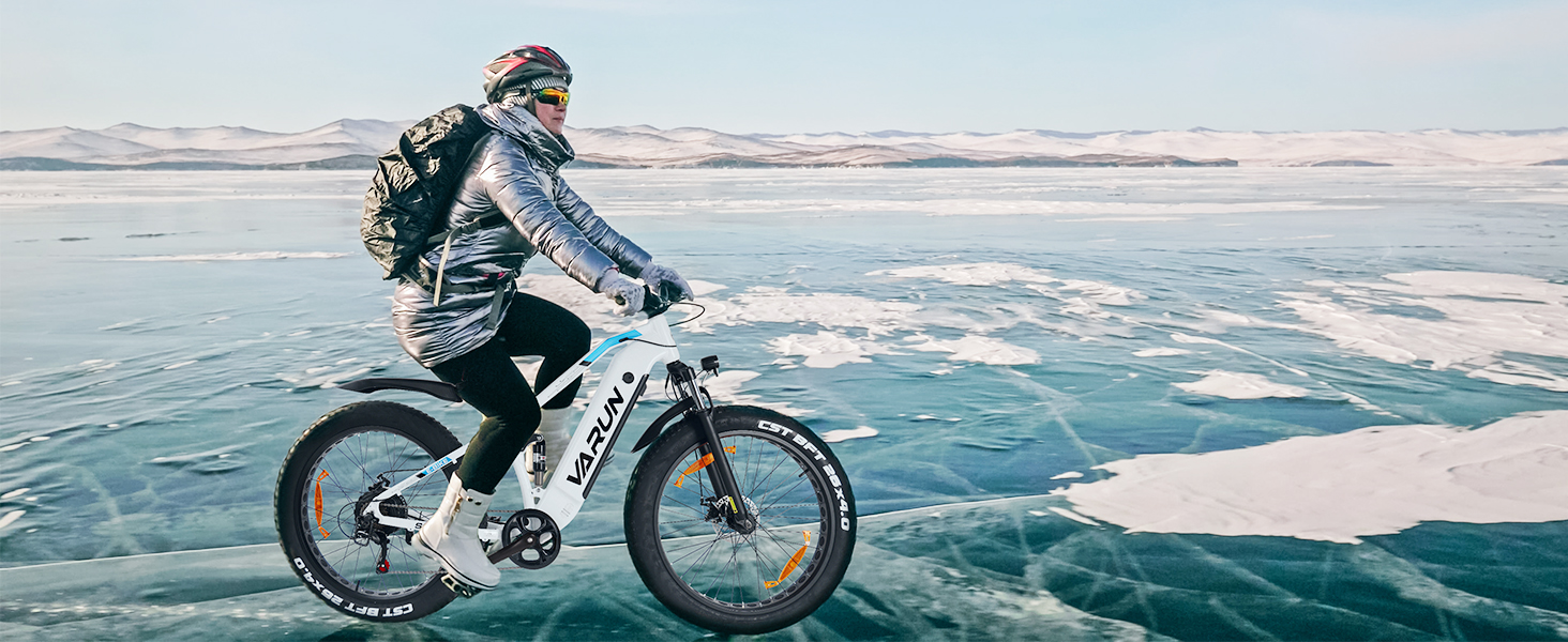 ebike