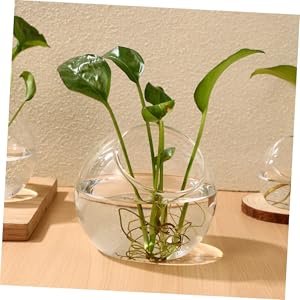 Amazon.co.jp: NUOLUX 花瓶 ガラス 丸型 台座 3個セット 花器