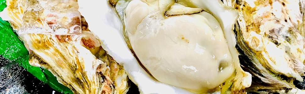 Amazon.co.jp: kakiya【北海道昆布森産 殻付生かき 10個セット