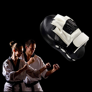 boxing pads training