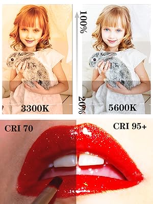 Amazon | VILTROX VL-D640T LEDビデオライト写真撮影照明ライト2