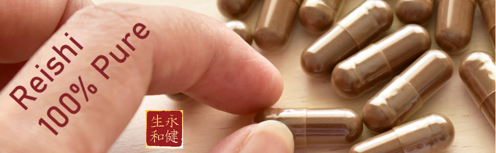 lingzhi reishi ganoderma lucidum pur pure puro gelules capsules tablets 