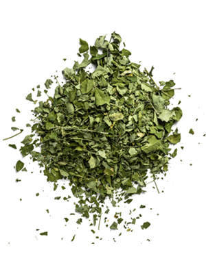 moringa oleifera bio moringa bio moringa feuilles sechees feuille de moringa 