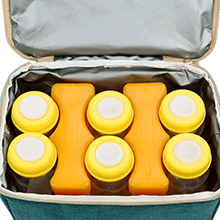 Breast pump bag spectra