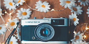 Small manufacture image 7