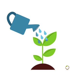 bone meal, fish bone meal, fish meal, fish bone