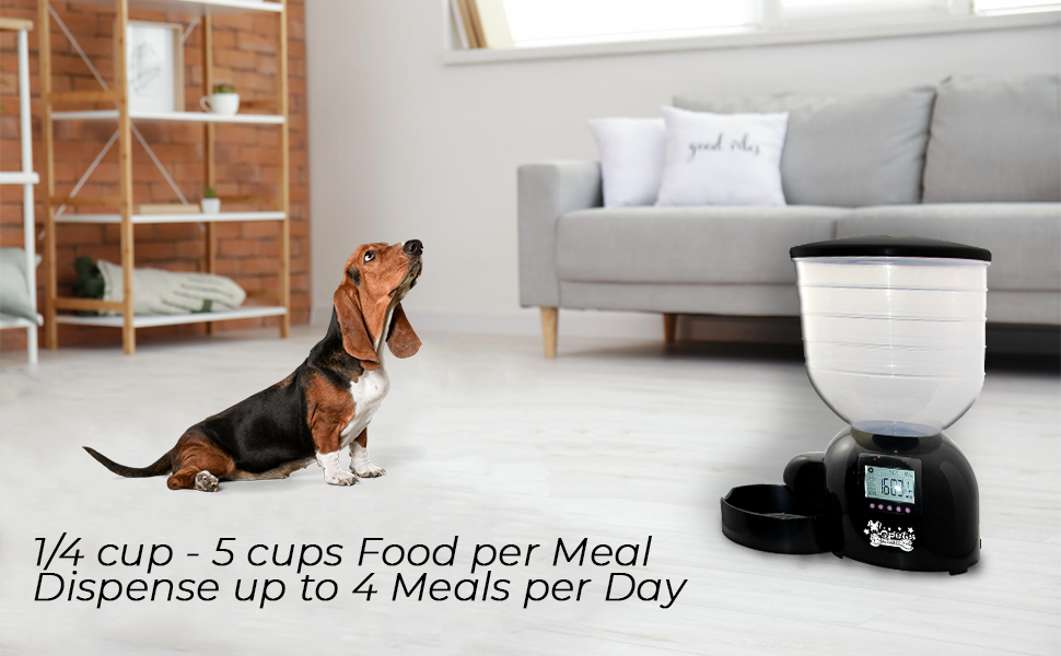 Top 10 Best large automatic dog feeder DecisionDesk