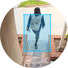 Smart Motion Alerts