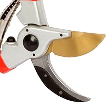  pruner bypass pruner anvil pruner tree pruner hand pruners pole pruner felco 