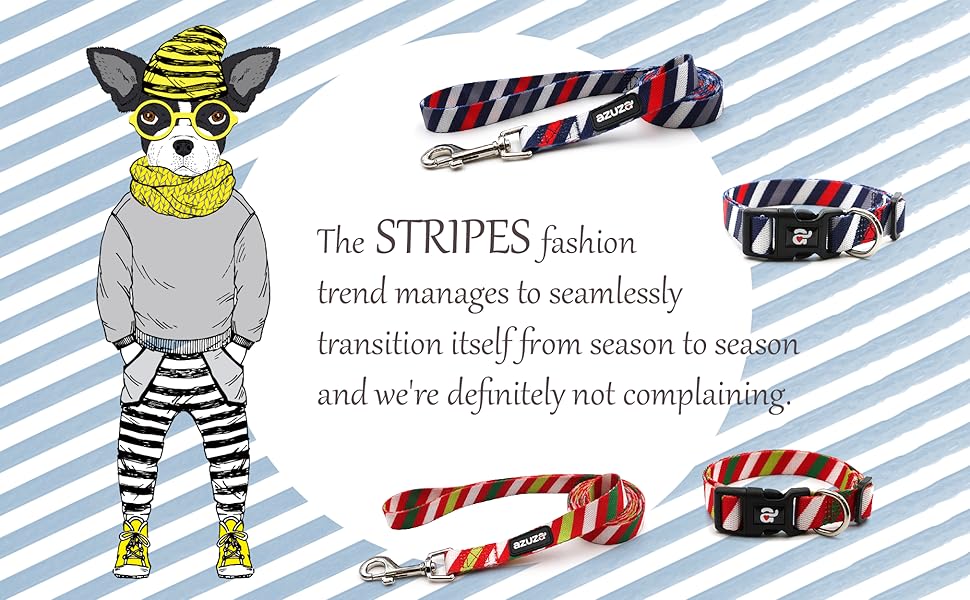 azuza Dog Collar and Leash Set, Adjustable Nylon Collar