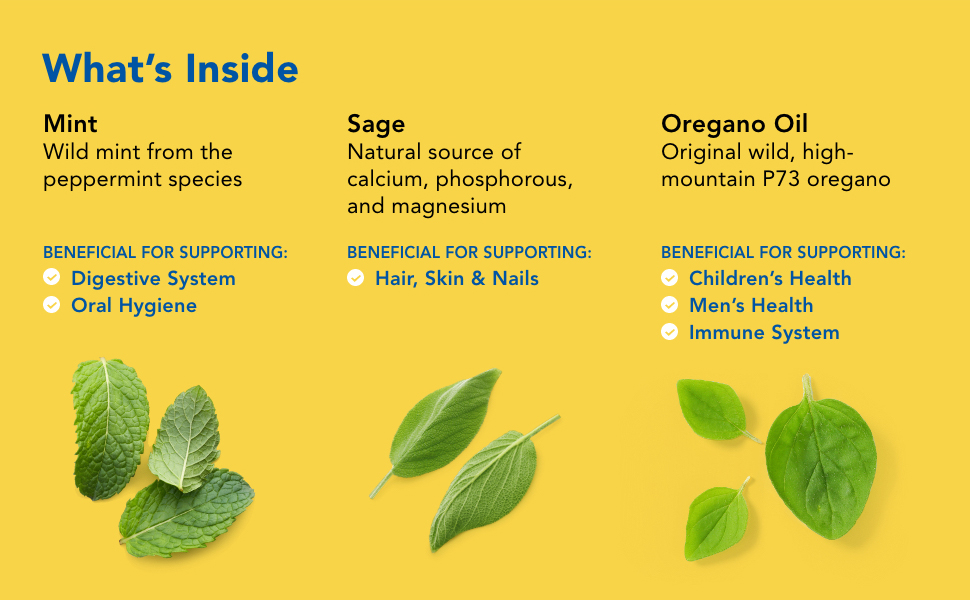 North American Herb & Spice