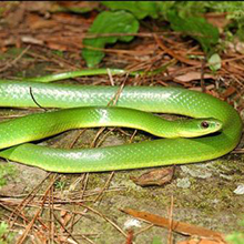 Small manufacture image 9