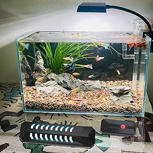 有害な微生物を抑制します