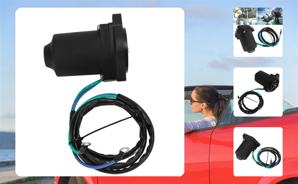 Amazon.com: Boat Tilt Trim Motor Metal Alloy 6EK 43880 00 00