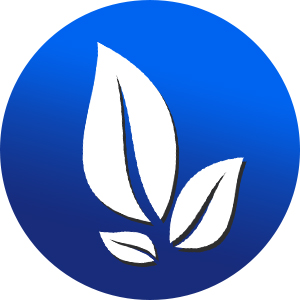 washing machine cleaner descaler