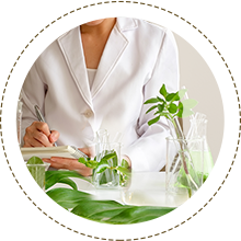 Ayurvedic shampoo for hair fall and hair growth, oil and shampoo combo for hair fall, Kesh King oil