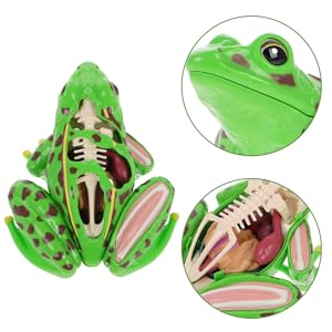 Amazon.co.jp: ERINGOGO カエル フィギュア 解体パズル カエル