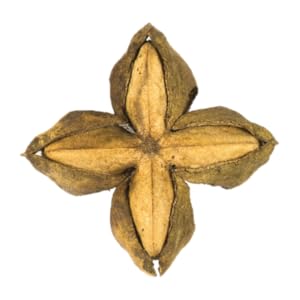 Small manufacture image 6