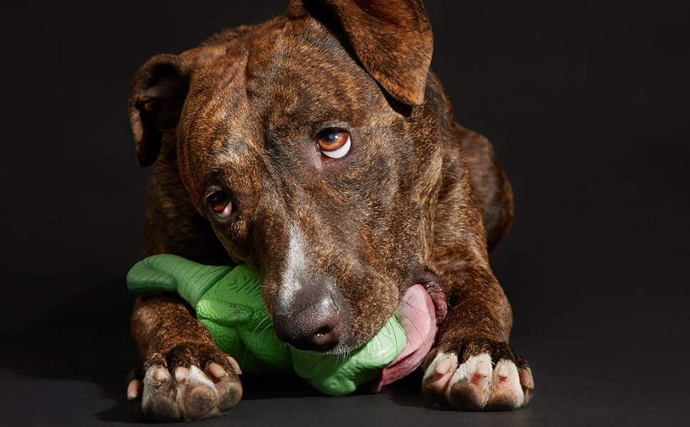 Pet Supplies Barkbox Super Chewer Tough Dog Chew Toys for Aggressive