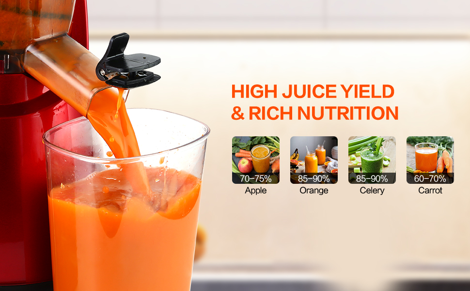 ROVKA Slow Masticating Juicer Extractor,3.15 Inches Wide