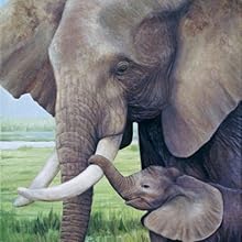 This moment elephant web image