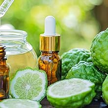 bergamot dishwasher smell aroma smelly dish washer bad smelling dirty antiviral virus bacteria