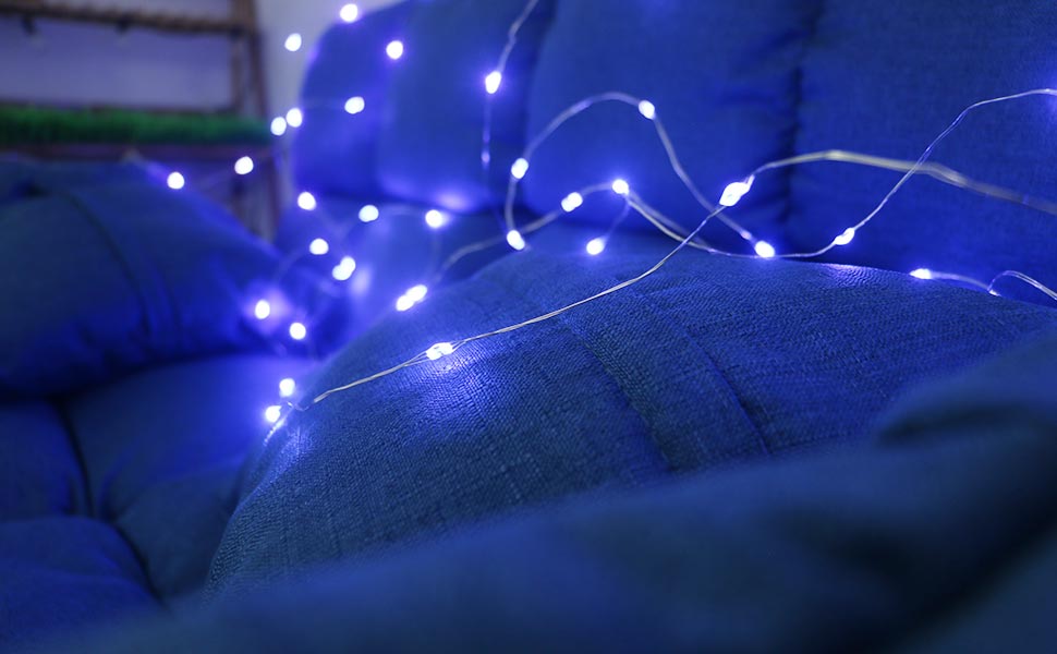 100LED Dimmable Photo Clip String Lights with Remote, litogo 10M