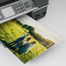 Canon 245 246xl ink cartridges combo pack