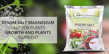 Small manufacture image 7