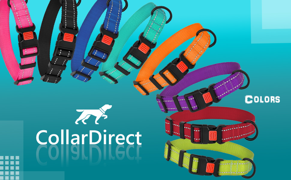 CollarDirect Small Dog Collar with Metal Buckle Nylon