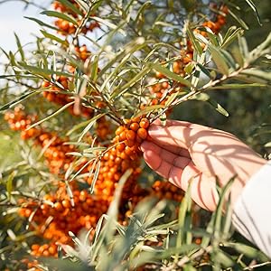 Small manufacture image 11