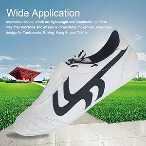 Taekwondo Schuh Kampfsport