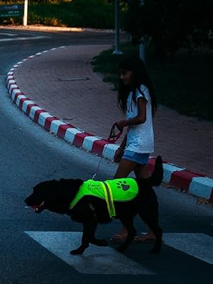 Reflective vest - night