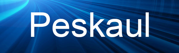 Peskaul USB C TO USB C CABLE