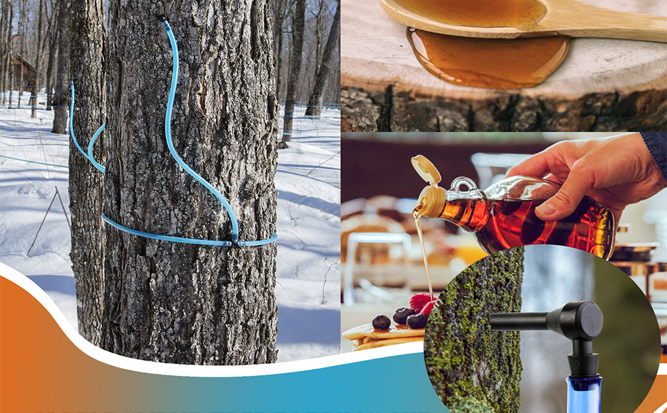 GORNORVA Maple Syrup Tree Tapping Kit, 12 Set Maple Tree
