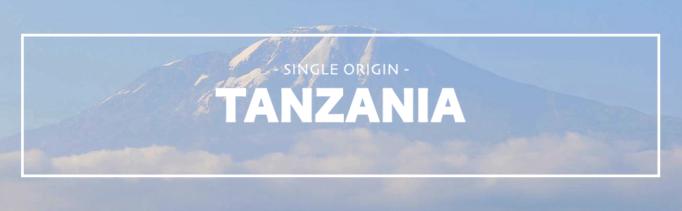 Tanzania Kilimanjaro Unroasted Green Coffee Beans Arabica African Raw Single Origin Peaberry Organic