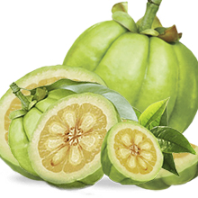 Garcinia